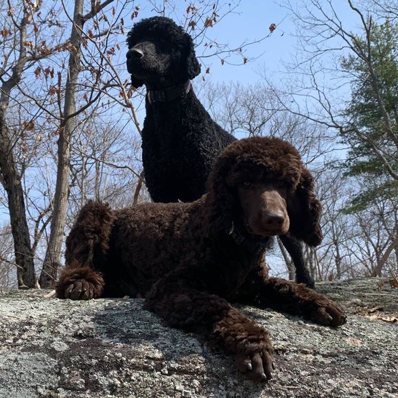 Meet your Posher, Heather - Picture 1 of 1